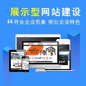 營銷推廣、企業(yè)推廣與網(wǎng)站建設 構建數(shù)字化商業(yè)成功的三大支柱